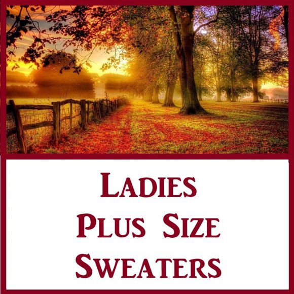 Ladies Plus Size Sweaters - Picture 3 of 11
